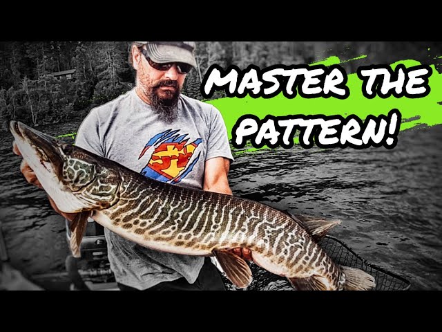 Trolling Depth IQ Ultimate lure dive depth control MUST HAVE pike