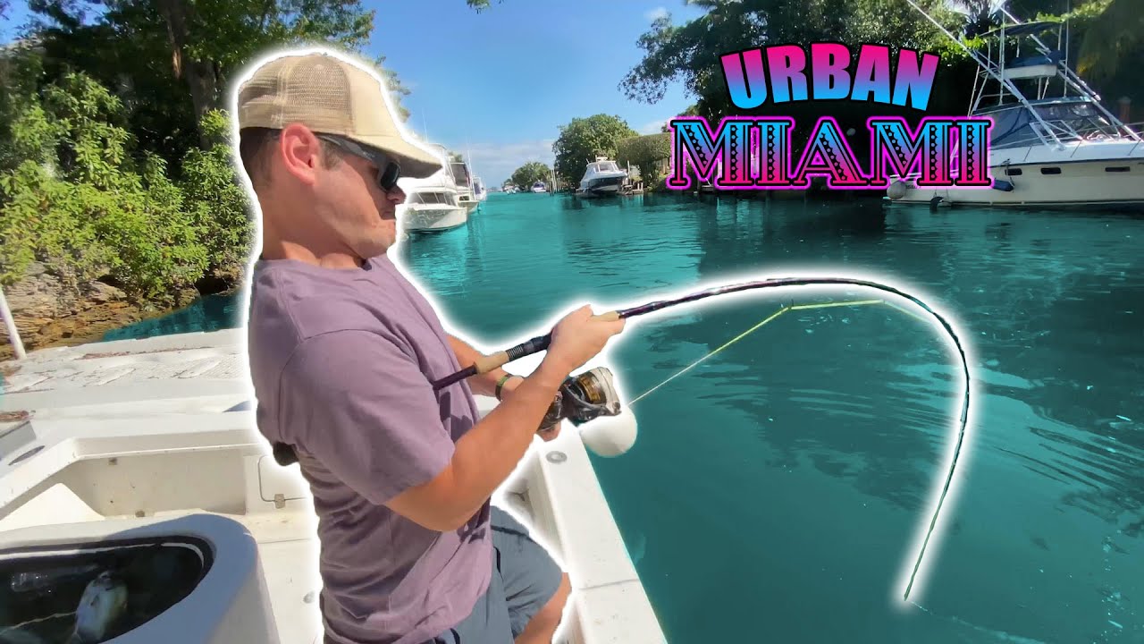 Watch INSANE Urban Canal Fishing in Miami's HIDDEN Locations