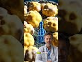 DE: Insulinresistenz: Verschlossene Türen Ihrer Zellen #FitnessFürMänner #Hormone #DrJonasStein