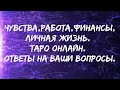 ЧУВСТВА, РАБОТА, ФИНАНСЫ, ЛИЧНАЯ ЖИЗНЬ. ТАРО ОНЛАЙН. ОТВЕТЫ НА ВАШИ ВОПРОСЫ.