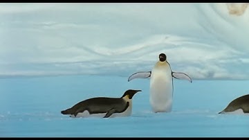 Timon and Pumbaa Interrupt 1 Chicken Little JUNE 17TH, 2024 PREMIERED ON DECEMBER 10TH, 2024