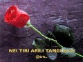 NEI TIRI ARE I TANGIRIKO By Taitai Kiribati Tm NEI TIRI ARE I TANGIRIKO By Taitai Kiribati Tm