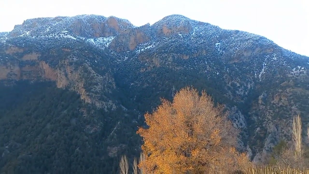 İkinci Gününde Kar Raporu  