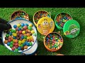 Colorful M&M’s Containers ASMR