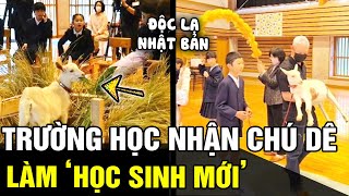 Vì Quá Ít Học Sinh Trường Tiểu Học Nhật Bản Chơi Lớn Nhận Một Chú Dê Làm Học Sinh Mới Tám Tv