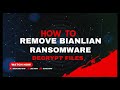 How to Remove Bianlian Ransomware and Decrypt Files Demo Video | Bianlian Decryption OfficIal
