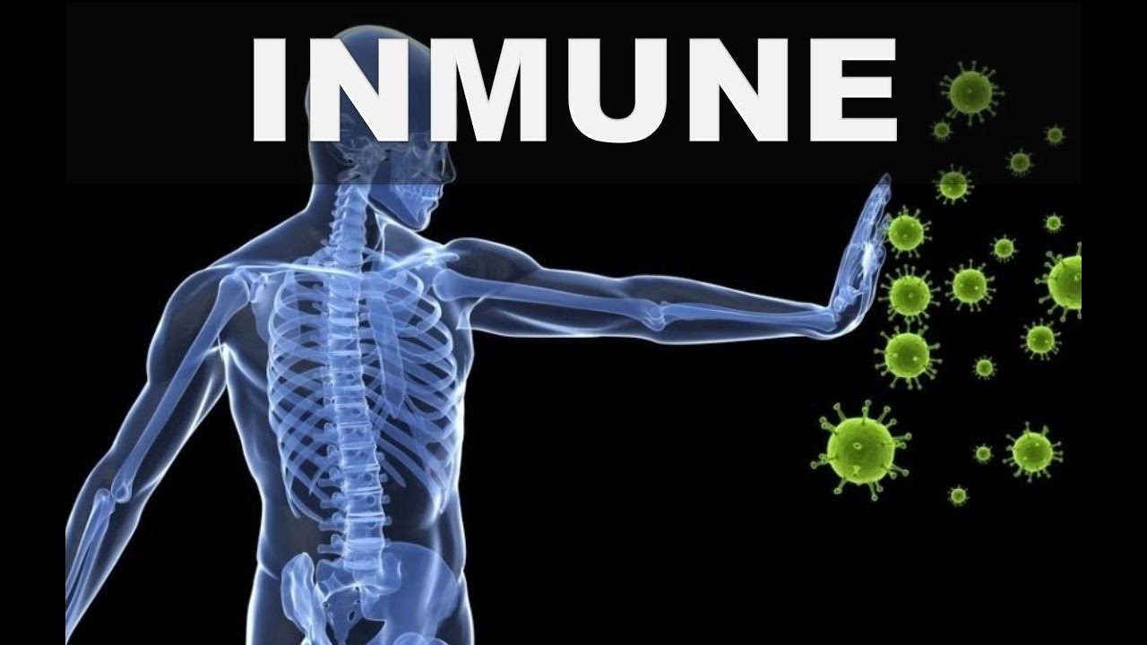 Estos 5 súper alimentos aumentaran la inmunidad de tu cuerpo para que tenga una salud de hierro