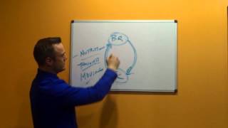 The Sensory Pathway: Input Equals Output - Chiropractors Maple Grove
