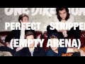 Perfect Stripped One Direction Empty Arena 