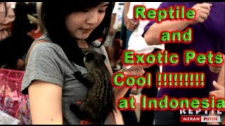 [HD] Reptile Expo & Exotic Pets Invasion 2013 Jakarta Indonesia