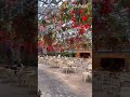 nabana no sato flower garden