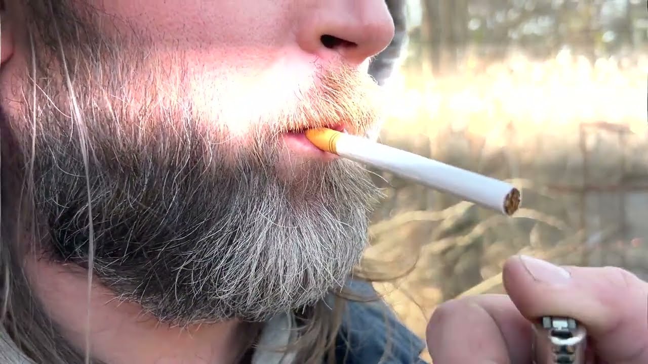 Troll Teeth - Your Hands Are Red (Official Music Video)