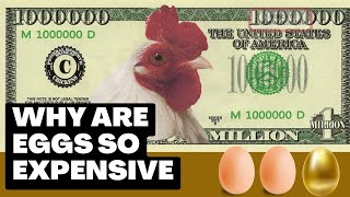 The Shocking Truth Behind the Soaring Prices of Eggs