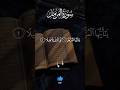Surah Muzammil | Beautiful Quran Tilawat | Surah Muzammil Recitation #shorts #shortsfeed