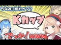 胸の大きさは隠し通せなかったしぐれうい団長【白銀ノエル/星街すいせい/犬山たまき】