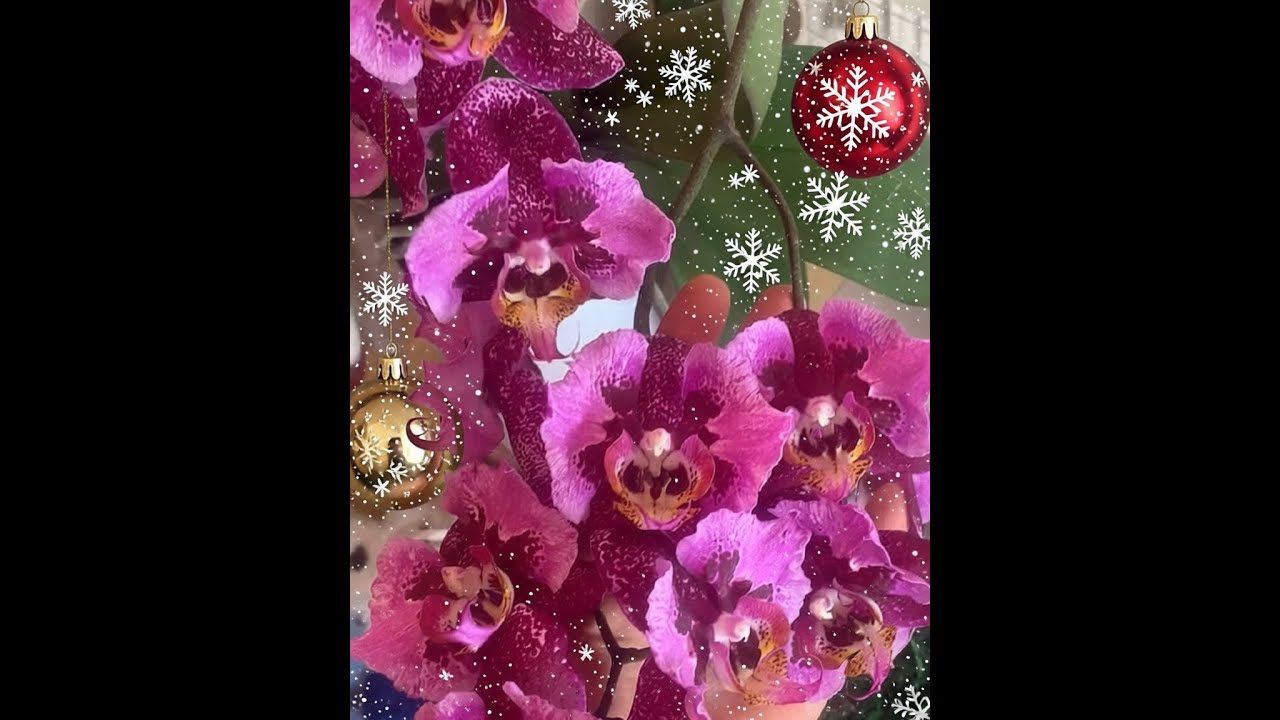 Новиночки 🤗❤️