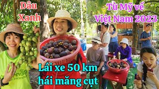 Từ Mỹ về Việt Nam ở khu homestay hái măng cụt, chôm chôm ăn tại vườn giá rất rẻ