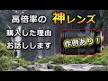 タムロン 28-200mmを購入した理由をお話しします！レビューと作例！【TAMRON 28-200mm F/2.8-5.6 Di III RXD】