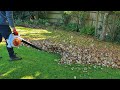 Satisfying Leaf Blowing [ Blowing Leaves  ]