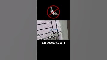 Effective #Bird Nets for Balconies in Chennai | YPL Safety Nets
