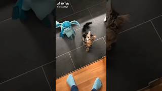 Glaceon Wants Attention Not Mine
