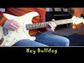 Hey Bulldog - The Beatles