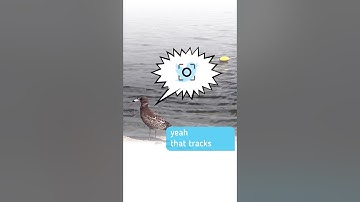 Tracking Objects with KineMaster 7.7