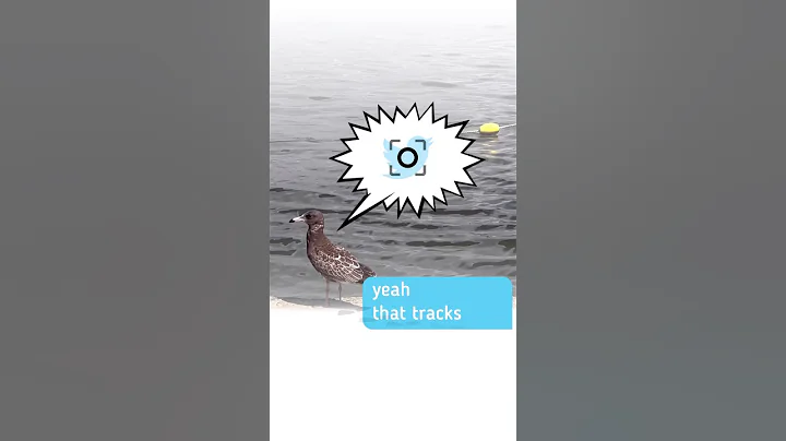Tracking Objects with KineMaster 7.7