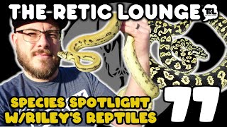 Famous Species Spotlight Carpet Pythons with Riley Jimison of Riley’s Reptiles | The Retic Lounge #77 Net Worth