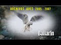 BAILARÍN - Archivos Aves 2005 - 2007