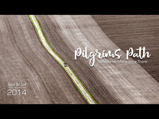 Pilgrims Path - Relaxation Music | Healing Music | Relaxing Music