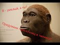 Homo habilis – обезьяна, которая начала всё