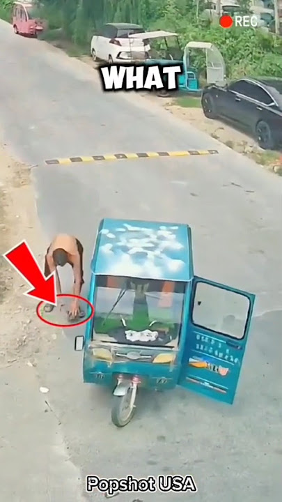 Tertangkap Kamera: Si Pencuri Ayam Beraksi! 🐔💥#shorts