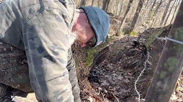 Setting a Bridger 3” trap for coyotes