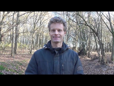 Waarom een sterke