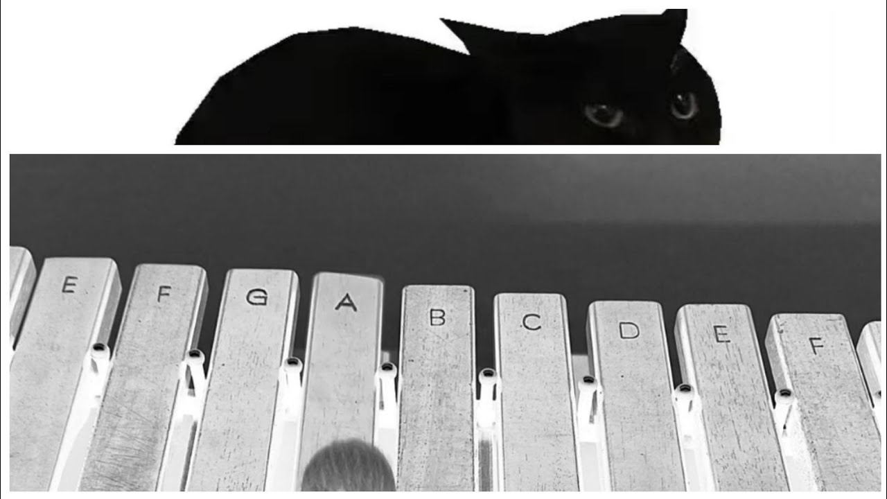 Maxwell The Cat Xylophone Tutorial YouTube