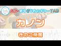 【TAB】カノン / きのこ帝国 まゆげじおのギター弾いてみた Guitar Cover