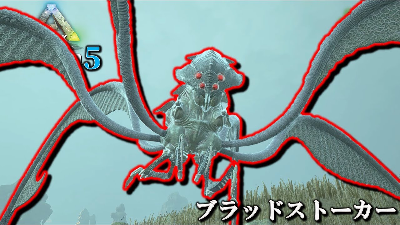 フレッシュアンドブラッド　アークナイトの掌握 アークナイトの掌握 flesh and blood