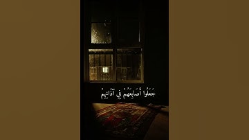 القارئ ماهر المعيقلي / سوره نوح 💙