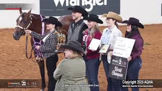 2025 Amateur Performance Halter Mares World Champion