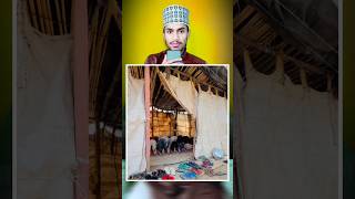 Imaan Ki Taazgi | #trending #shorts #islamicvideo