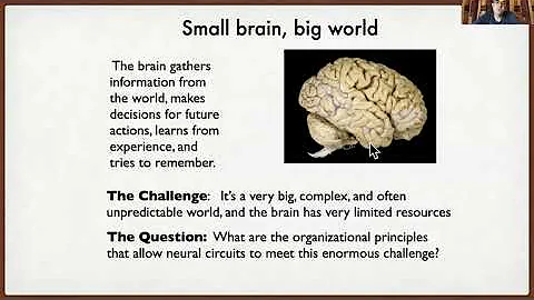 July 27, 2020: The Physics of Life. How the brain interprets complex signals