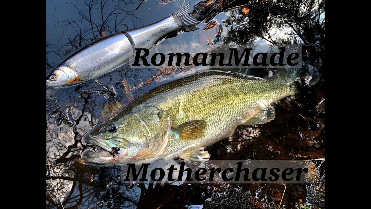 RomanMade Motherchaser【Bassfishing】 - YouTube