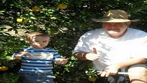 We Ship Navel Oranges, Ruby Red Grapefruit, Tangerines