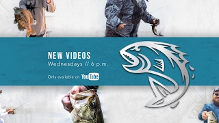 Fin Commander Live Stream