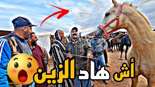 سوق سطات اليوم جدع سنابي هبل ماكرو ..و مول شكارة عندو المليح زرك ملكي اللهم بارك