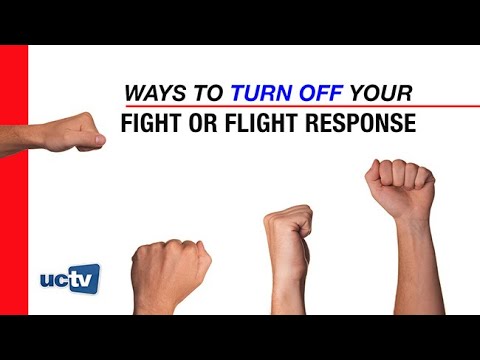 अपनी लड़ाई या उड़ान प्रतिक्रिया को बंद करने के तरीके