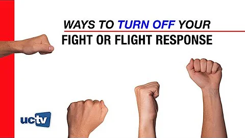 Ways to Turn Off Your Fight or Flight Response