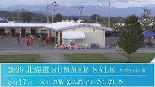 2026 北海道サマーセール1日目　生中継
