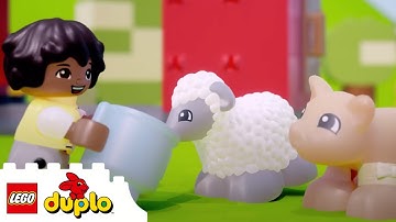 LEGO DUPLO | Animal Care + More Fun Stories | Cartoon for Kids | Preschool Learning
